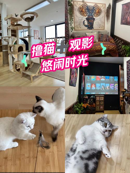 白丝 av 在线的相关介绍