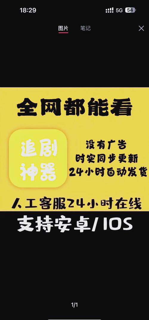 久久seseav的相关介绍