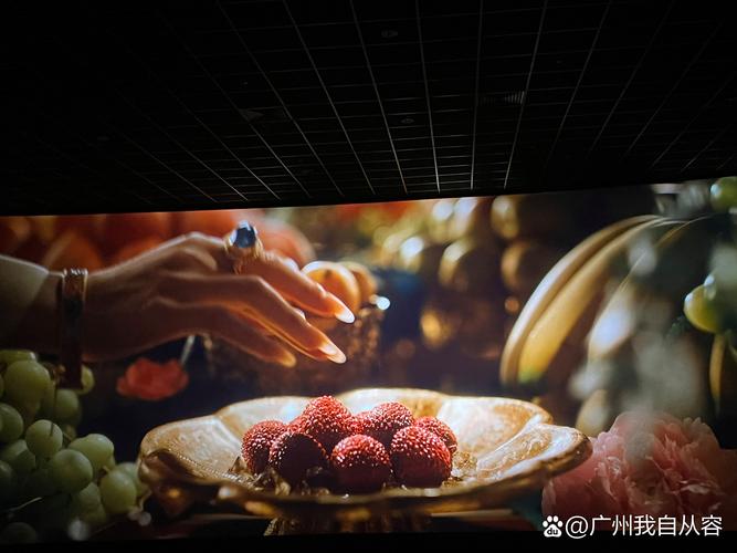 梦幻影院的相关介绍