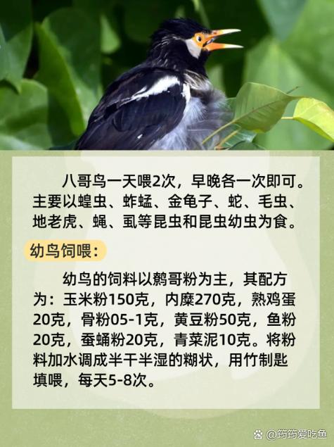 强占人妻(高h)h文的相关介绍