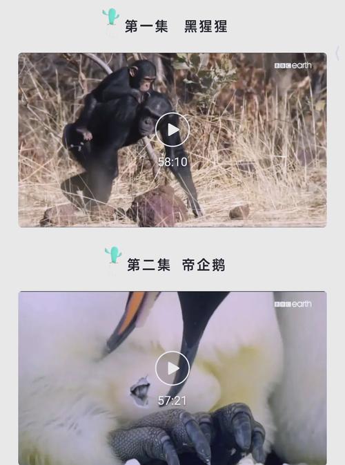 流沙电影院的相关介绍