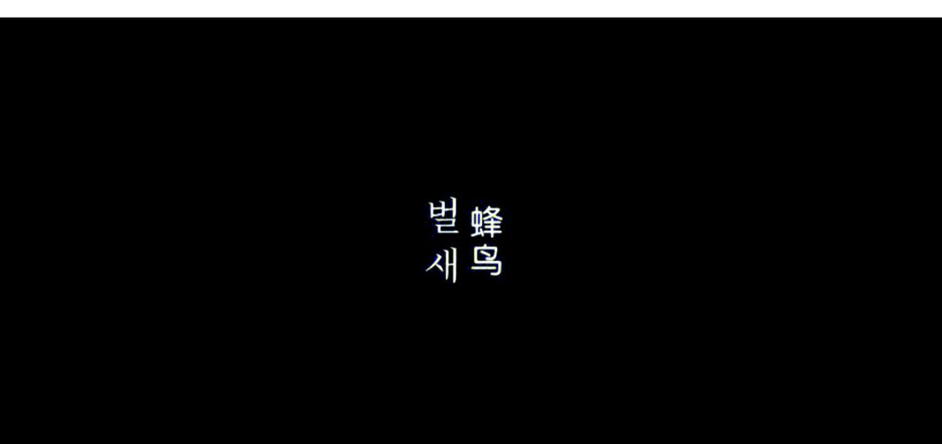 奇米影视777四色米奇影院的相关介绍