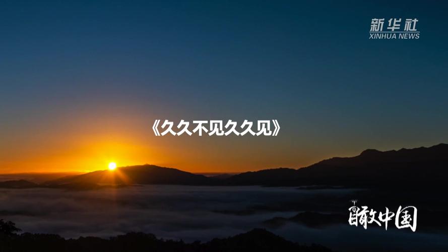国产h色在线的相关介绍
