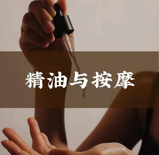 首播影院yy4480的相关介绍