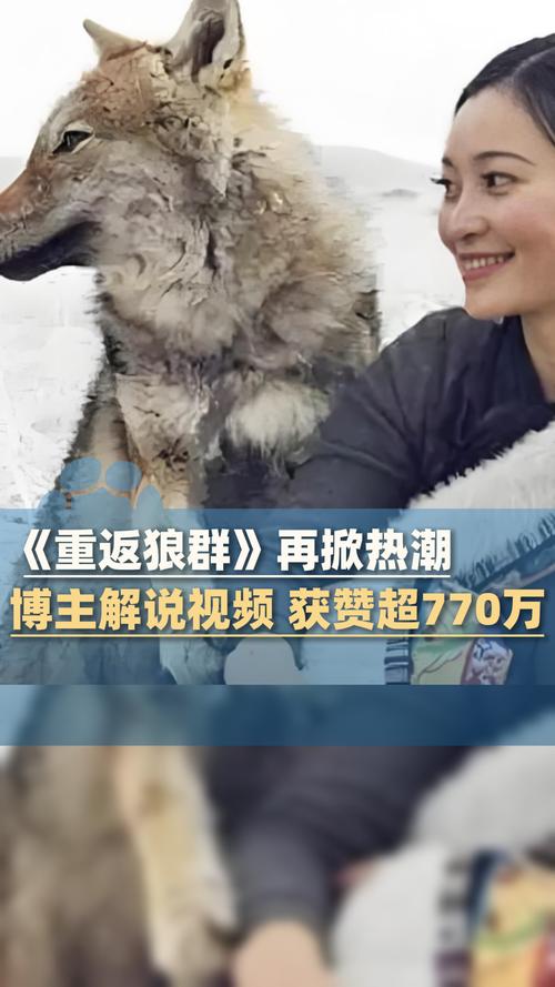 西宫电影院的相关介绍