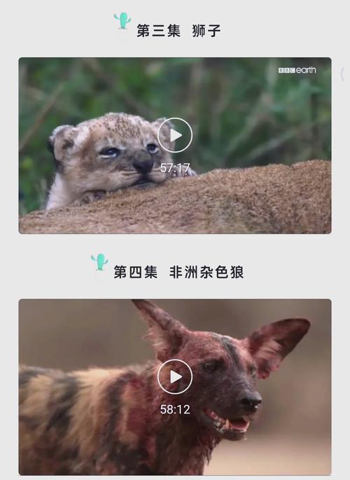 少妇逼逼av的相关介绍