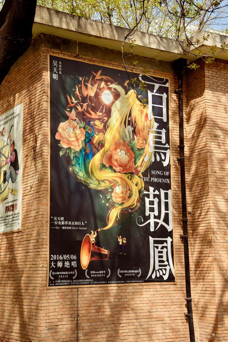 快播欧美在线的相关介绍
