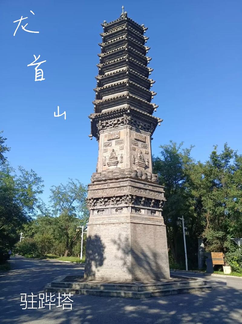 久久久精品久的相关介绍