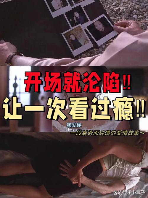12306播播影院的相关介绍