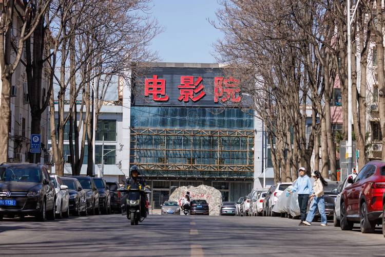 青鸟神马影院的相关介绍