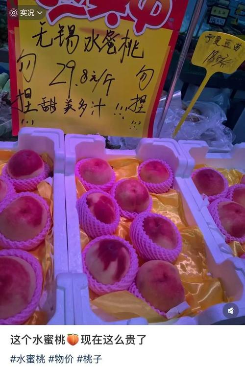 成人欧美在线网站的相关介绍