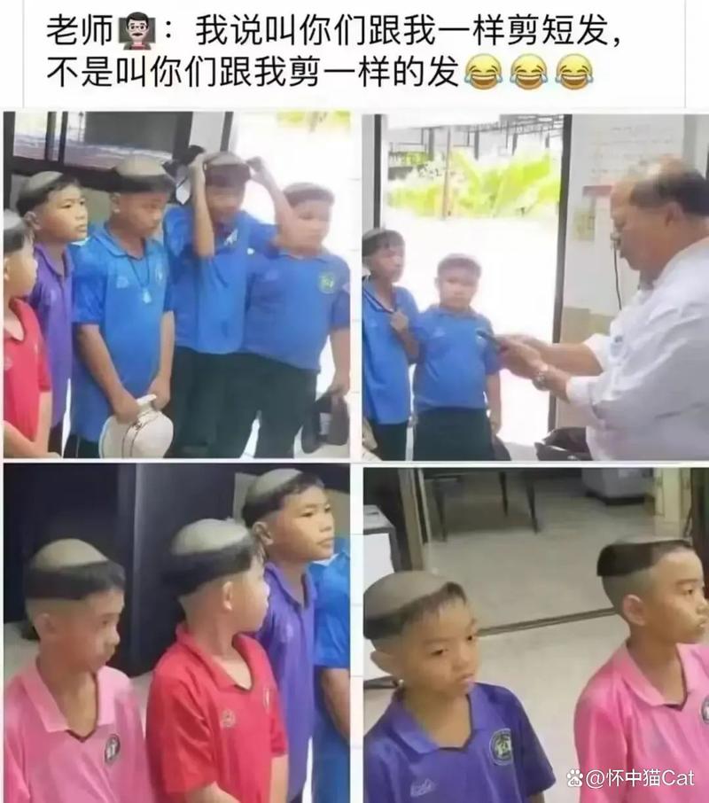视频大全下载app的相关介绍
