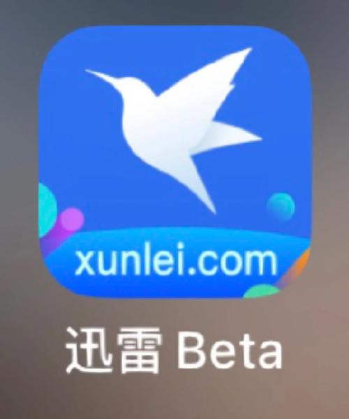 看成人看的毛片的相关介绍