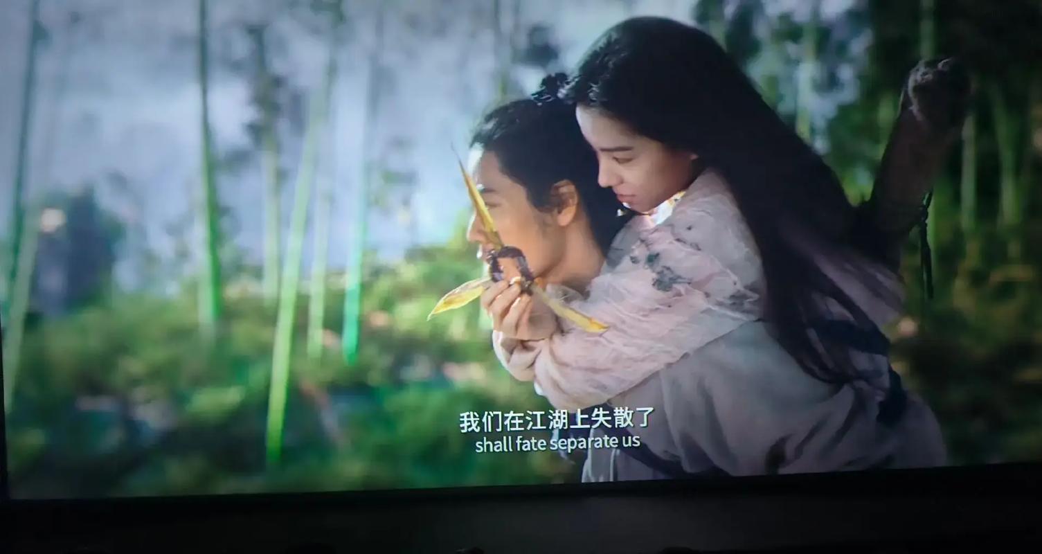 久久久久久精品人的相关介绍