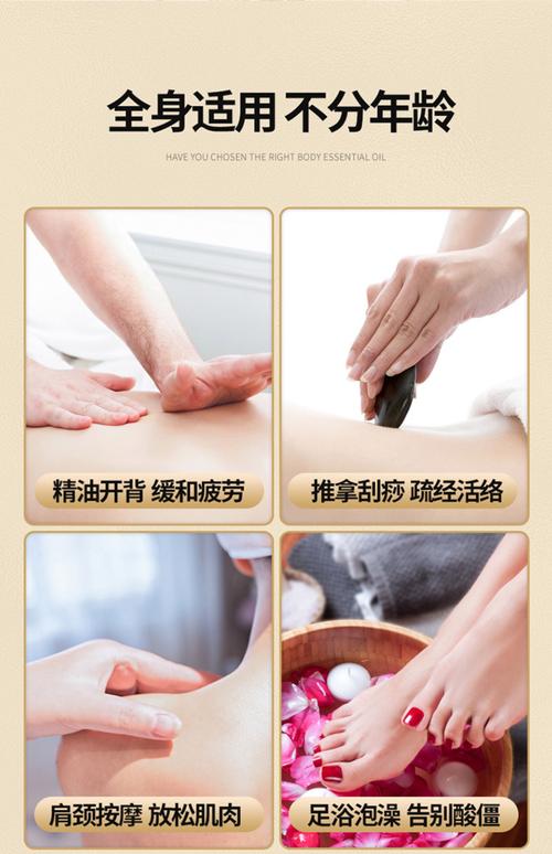 秘书奶子的相关介绍