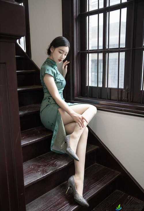 激情辣文高h的相关介绍