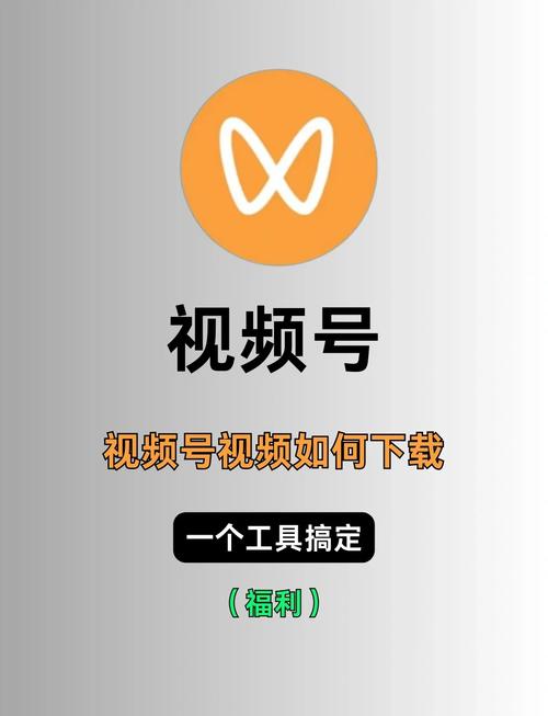 光棍影院手机版免费的相关介绍
