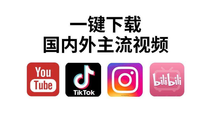 久久久无精品的相关介绍