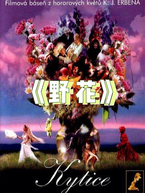 黑丝熟女在线观看的相关介绍