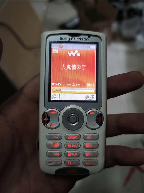 意大利 伦理的相关介绍