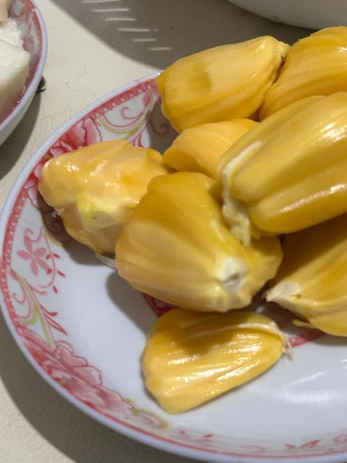视频免费app下载的相关介绍