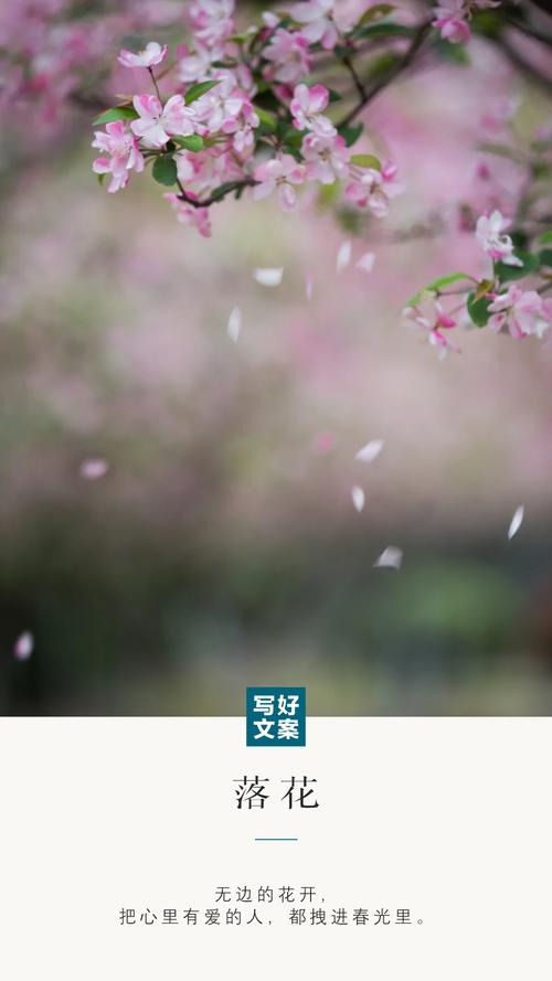 操哭美女校花的相关介绍