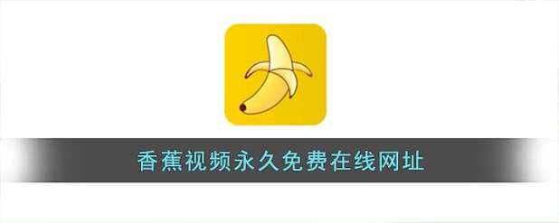 一发影院理伦大全的相关介绍