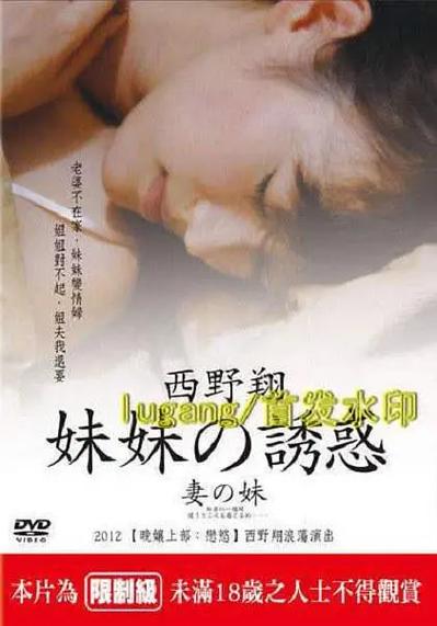 大乳秘书的相关介绍