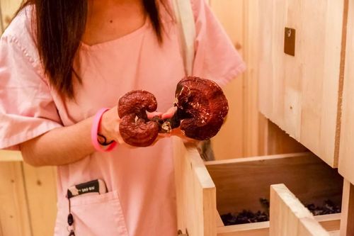 老子午夜理论影院理论的相关介绍