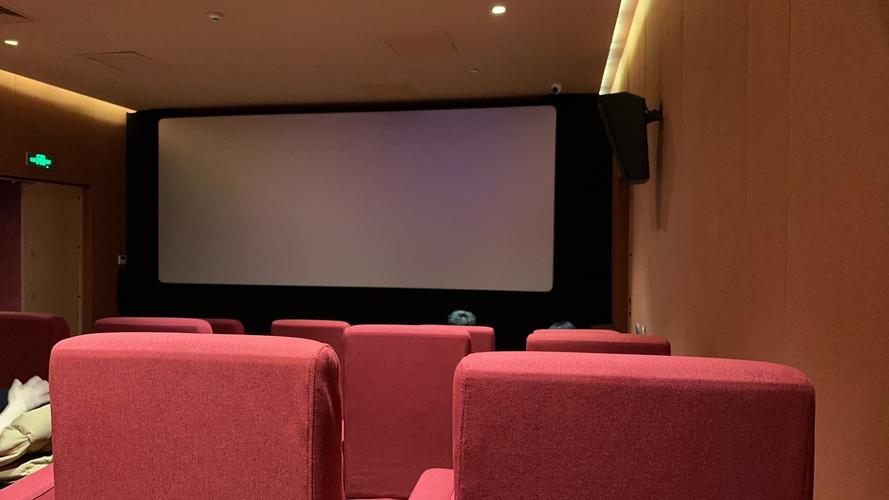 男女啪啪视频大全免费影院的相关介绍
