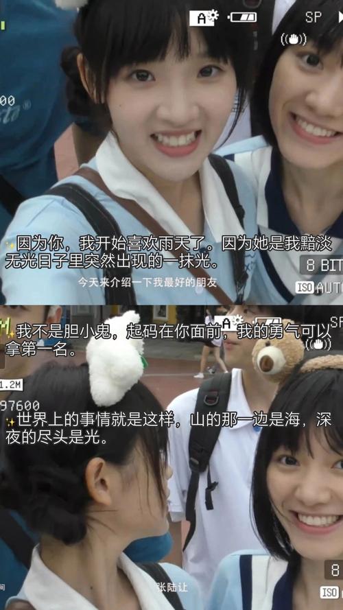 80老妇性毛片的相关介绍