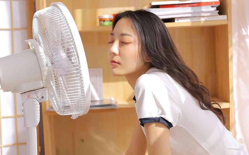 风流少妇人妻的相关介绍