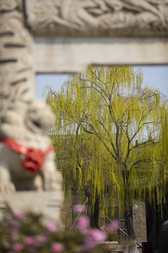 第一次处破女14分钟毛片的相关介绍