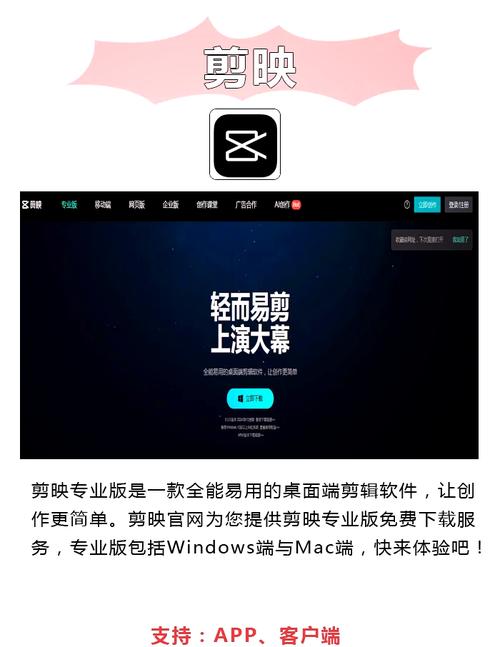 女性内裤黄色分泌物的相关介绍