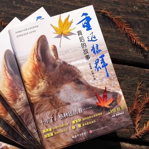 啊啊操出白浆视频的相关介绍