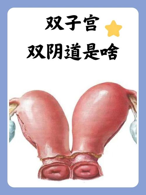 亚洲天堂伊人久久的相关介绍