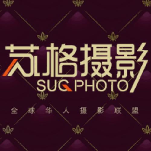 光棍影院手机在线观看的相关介绍