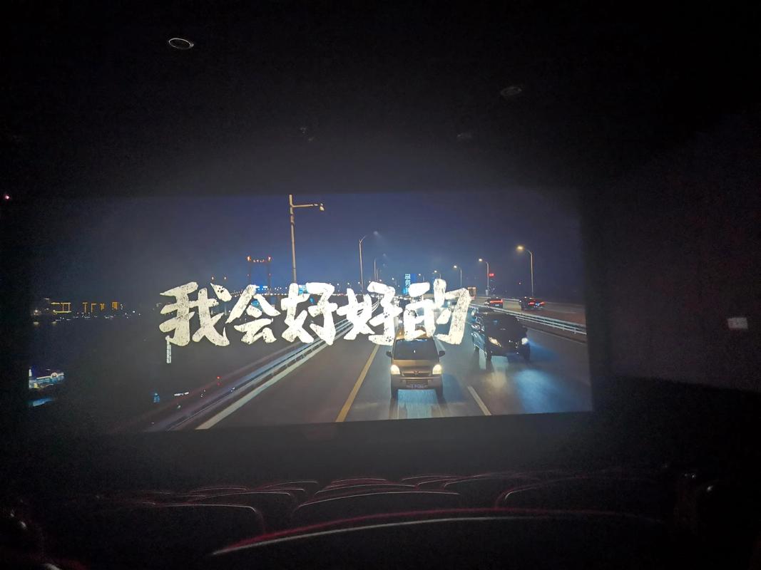 家庭影院必看的片子的相关介绍