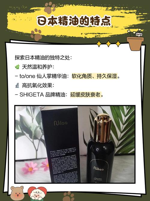 欧美一区二区国产一区的相关介绍