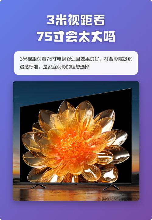 久久久久久只有精品的相关介绍