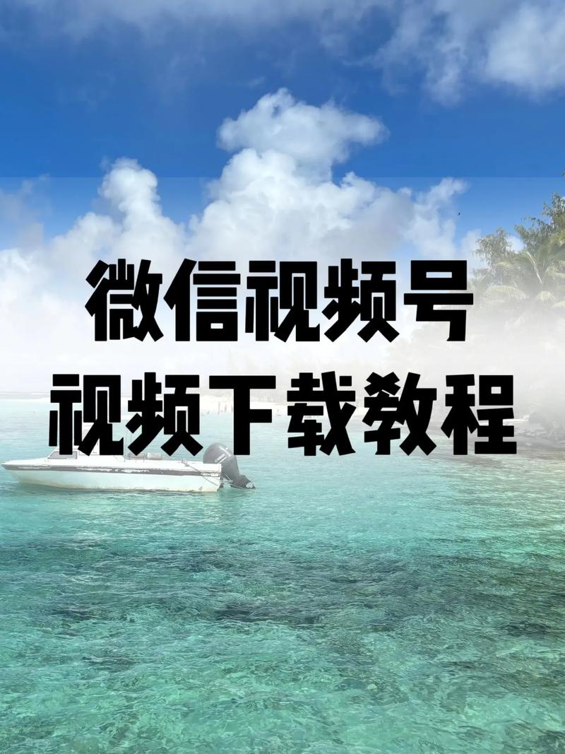 老湿影院视费啊a的相关介绍