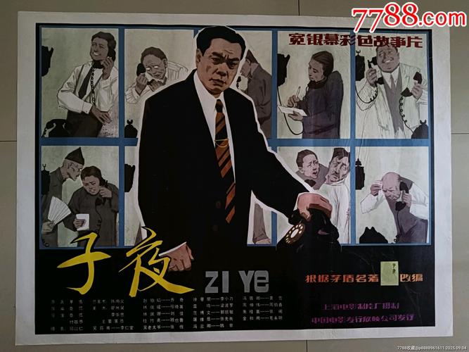 中国影院的相关介绍