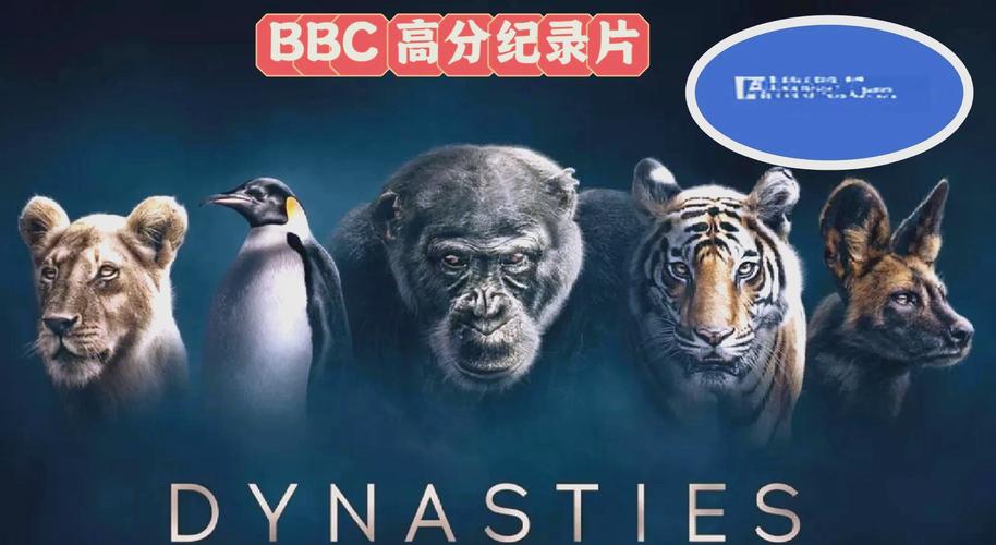 影音先锋成人影院的相关介绍