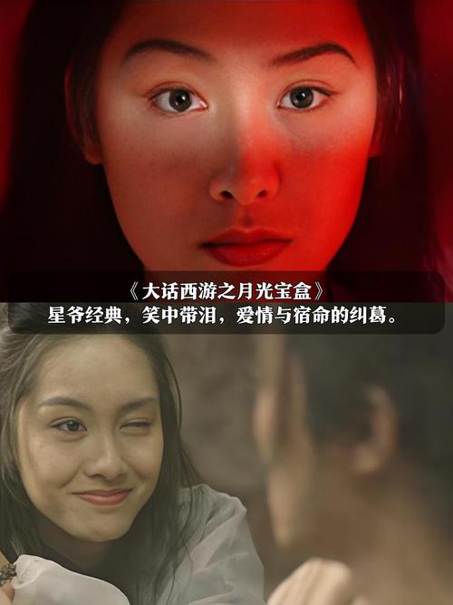 舔白浆视频的相关介绍