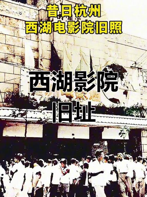 18禁看片在线观看的相关介绍