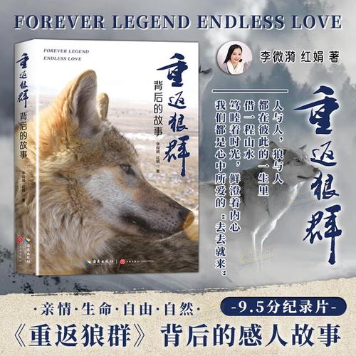 强暴小[子辣文的相关介绍