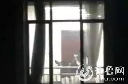 桔子影院juzi222的相关介绍