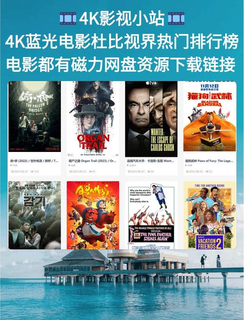 67194欧美熟妇在线的相关介绍