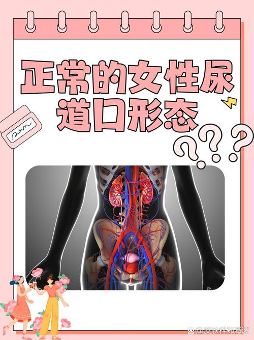 免费观看视频软件有哪些app的相关介绍