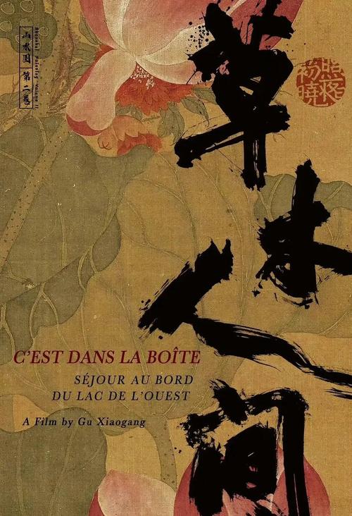 大哥影院的相关介绍